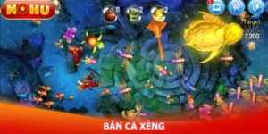 ban-ca-xeng