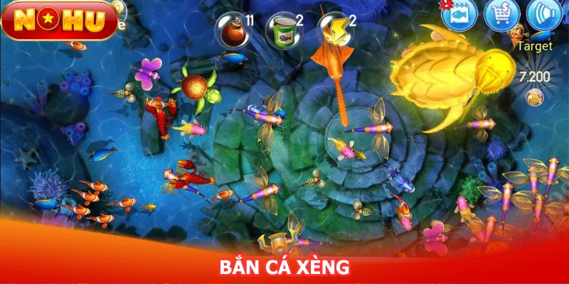ban-ca-xeng