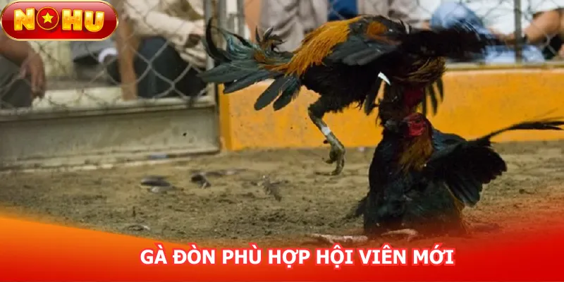 ga-don-phu-hop-hoi-vien-moi