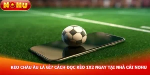 keo-chau-au-la-gi-cach-doc-keo-1x2-ngay-tai-nha-cai-nohu