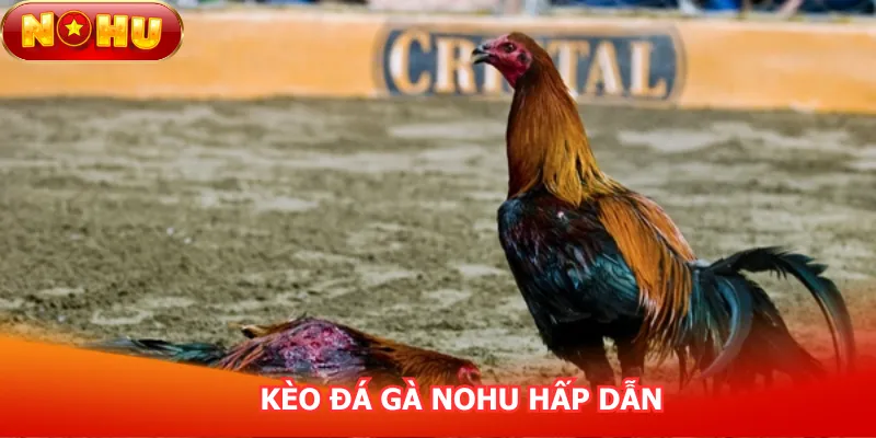 keo-da-ga-nohu-hap-dan