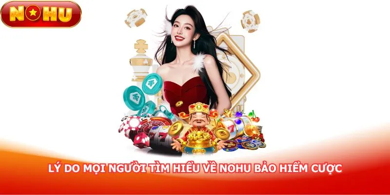 ly-do-moi-nguoi-tim-hieu-ve-nohu-bao-hiem-cuoc